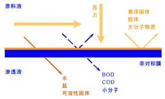 k8凯发(中国)天生赢家·一触即发_活动1659