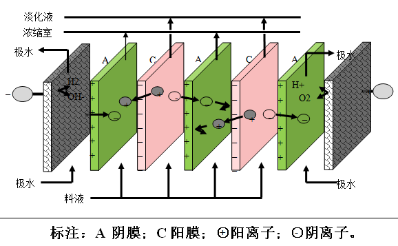 k8凯发(中国)天生赢家·一触即发_image3000