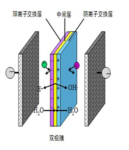 k8凯发(中国)天生赢家·一触即发_活动2961